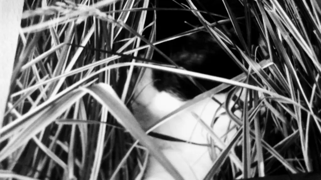 Andachtsbild von Monika