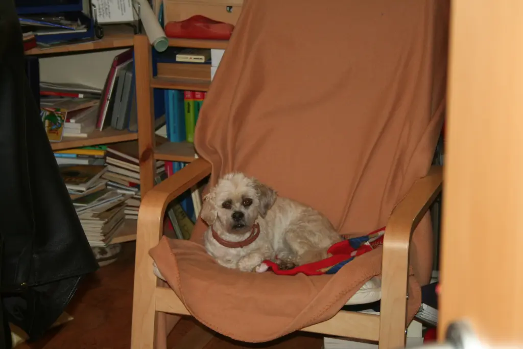 Andachtsbild von Andrea mit Noa im Herzen