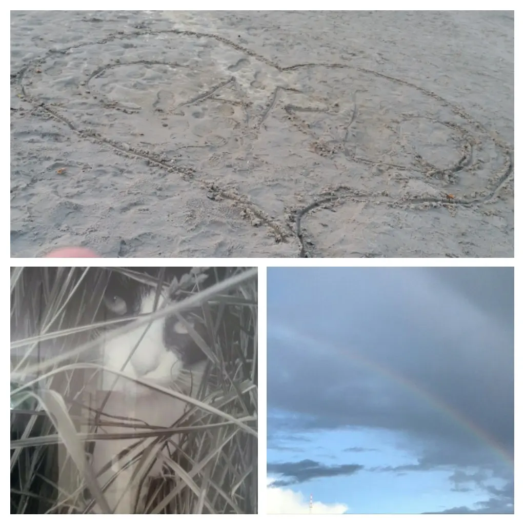 Andachtsbild von Monika 