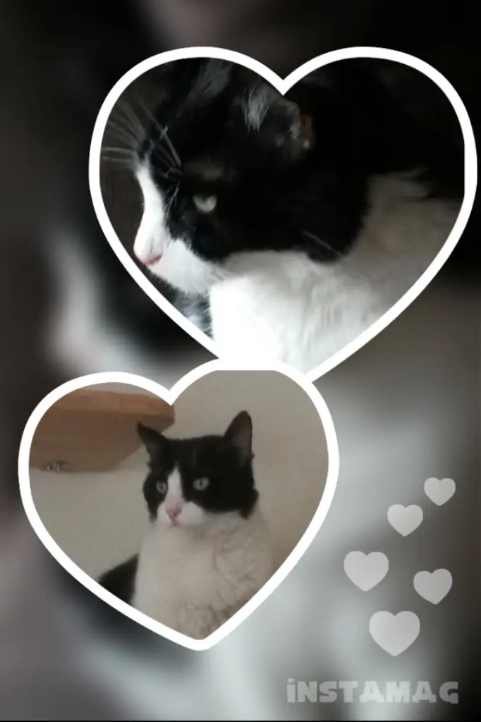 Andachtsbild von Monika und Ulrike 