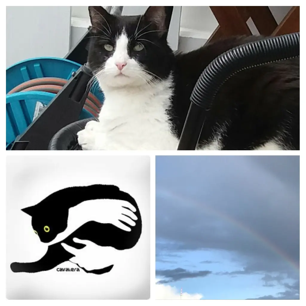 Andachtsbild von Monika