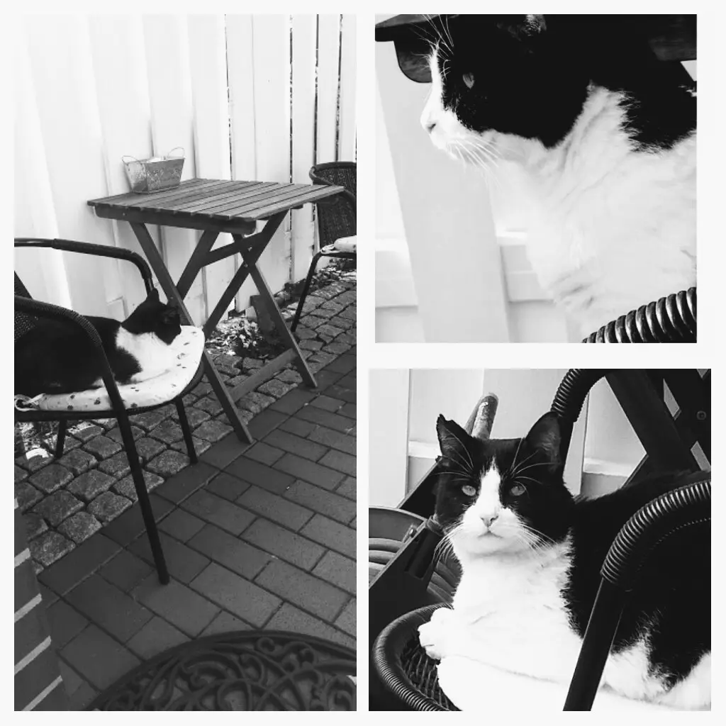 Andachtsbild von Monika