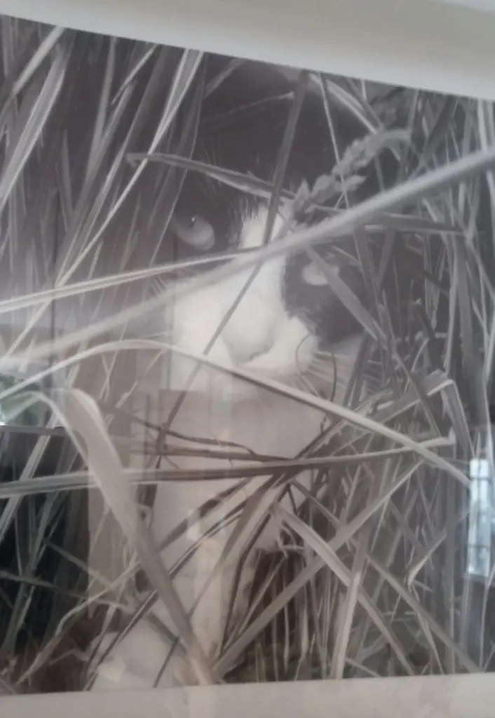 Andachtsbild von Monika