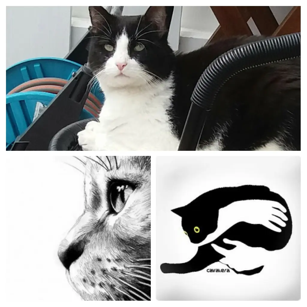 Andachtsbild von Monika