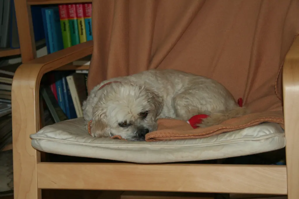 Andachtsbild von Andrea mit Noa im Herzen