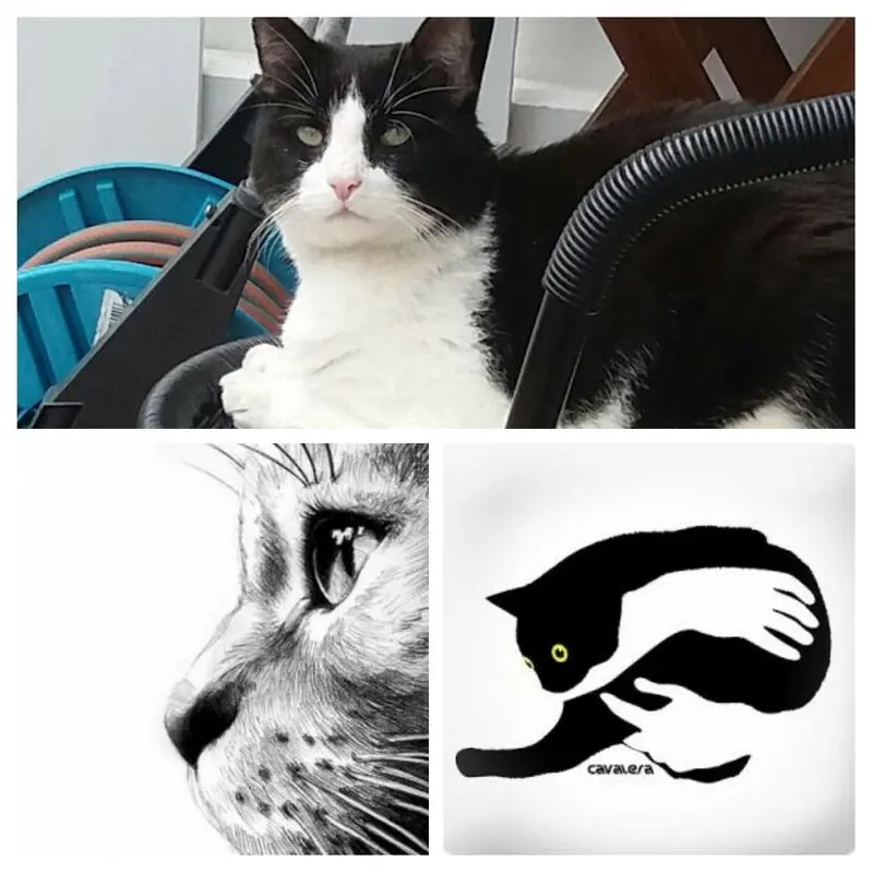 Andachtsbild von Monika