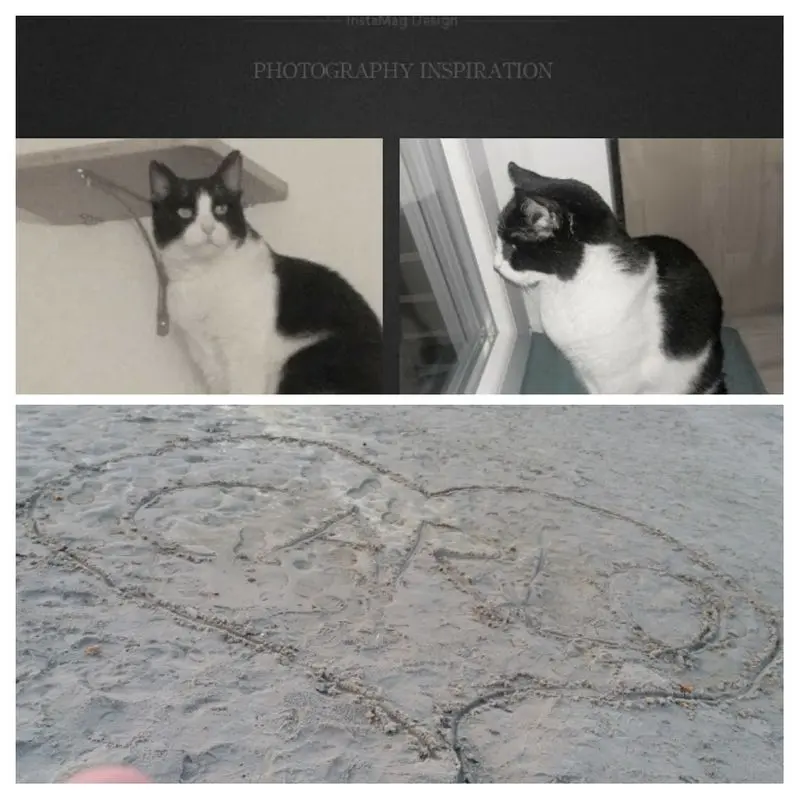 Andachtsbild von Monika