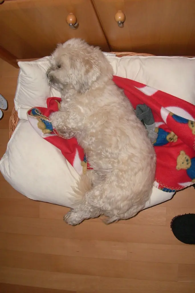 Andachtsbild von Andrea mit Noa im Herzen