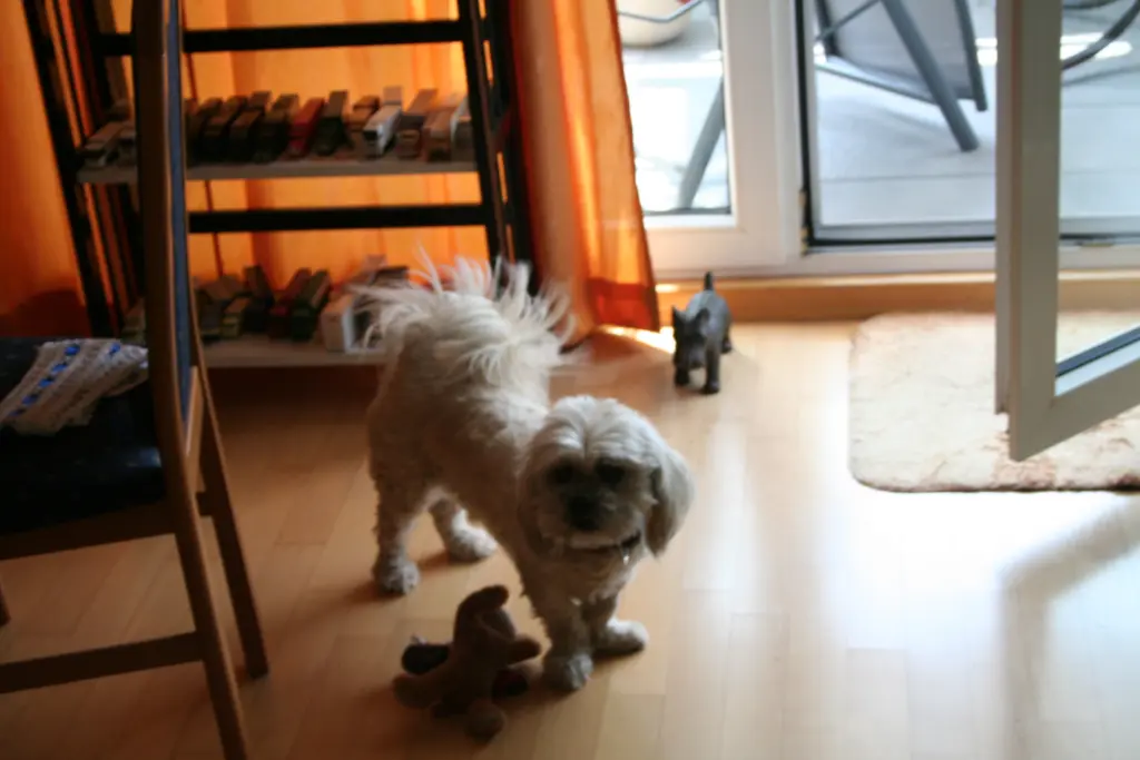 Andachtsbild von Andrea mit Noa im Herzen