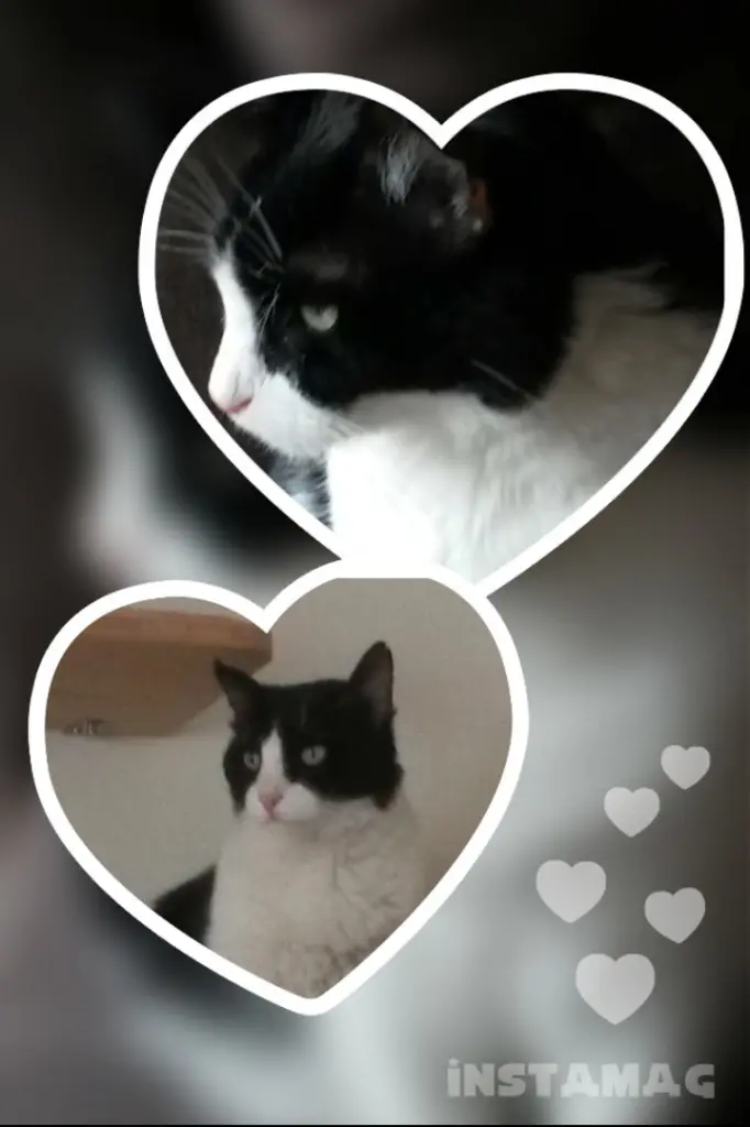 Andachtsbild von Monika und Ulrike 