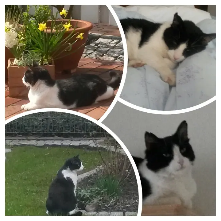 Andachtsbild von Monika und Ulrike 