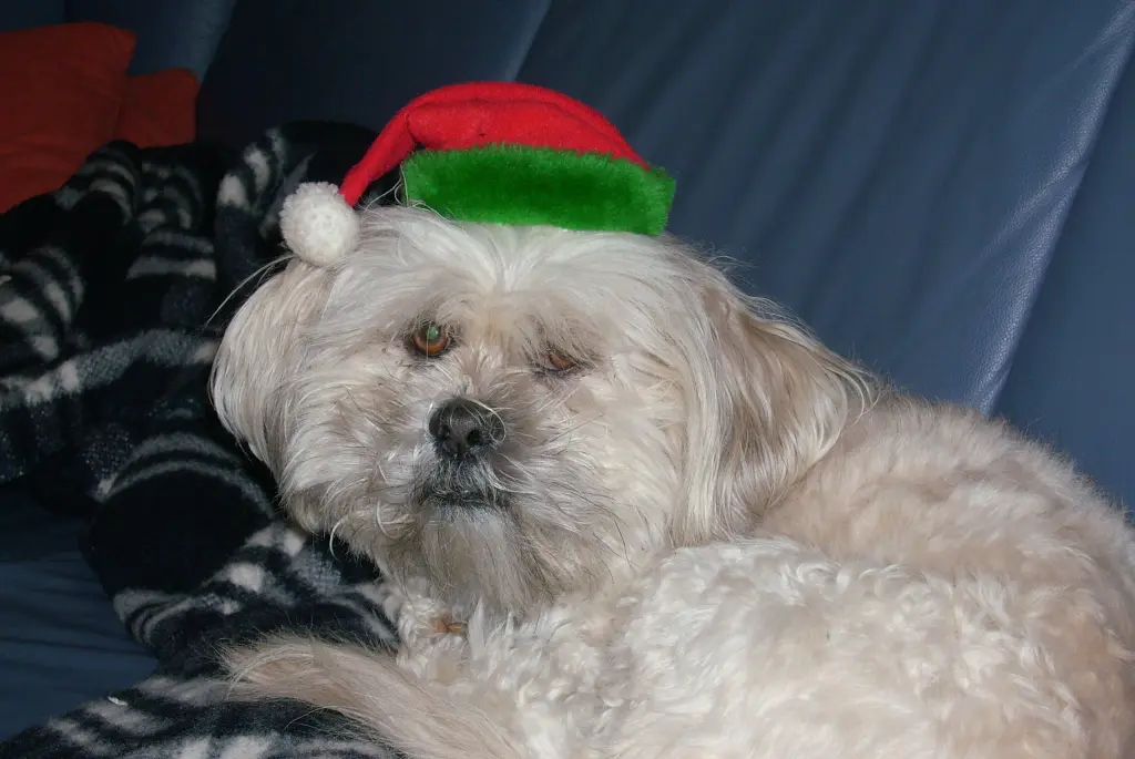 Andachtsbild von Andrea mit Noa im Herzen