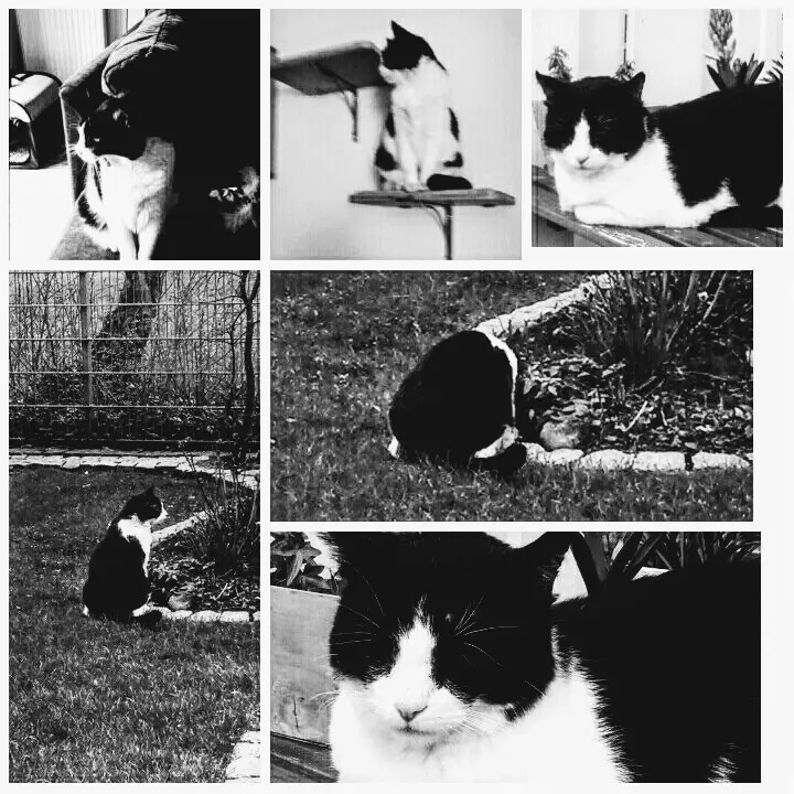 Andachtsbild von Monika und Ulrike 