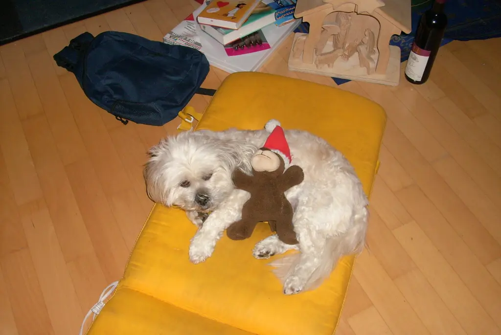 Andachtsbild von Andrea mit Noa im Herzen