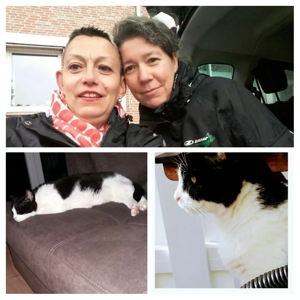 Andachtsbild von Monika