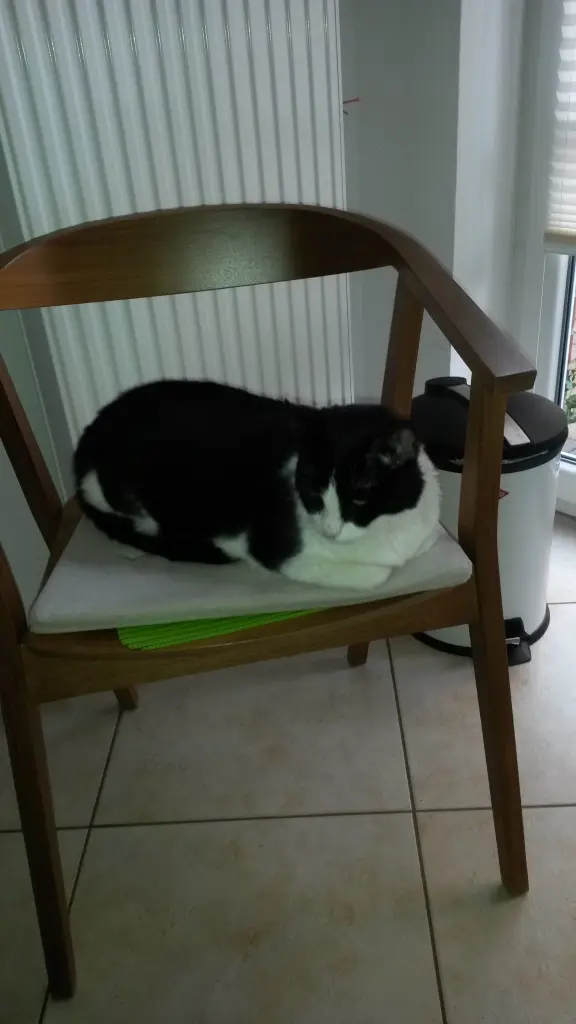 Andachtsbild von Monika