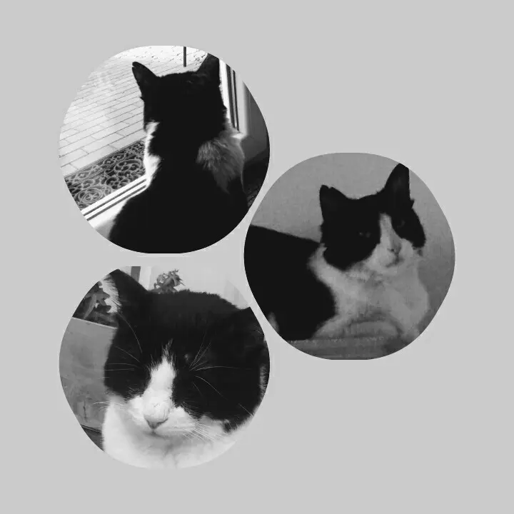 Andachtsbild von Monika