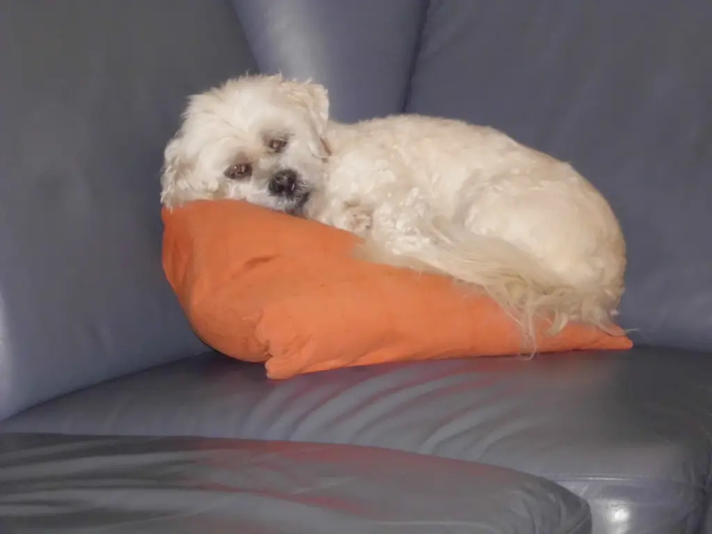 Andachtsbild von Andrea mit Noa im Herzen