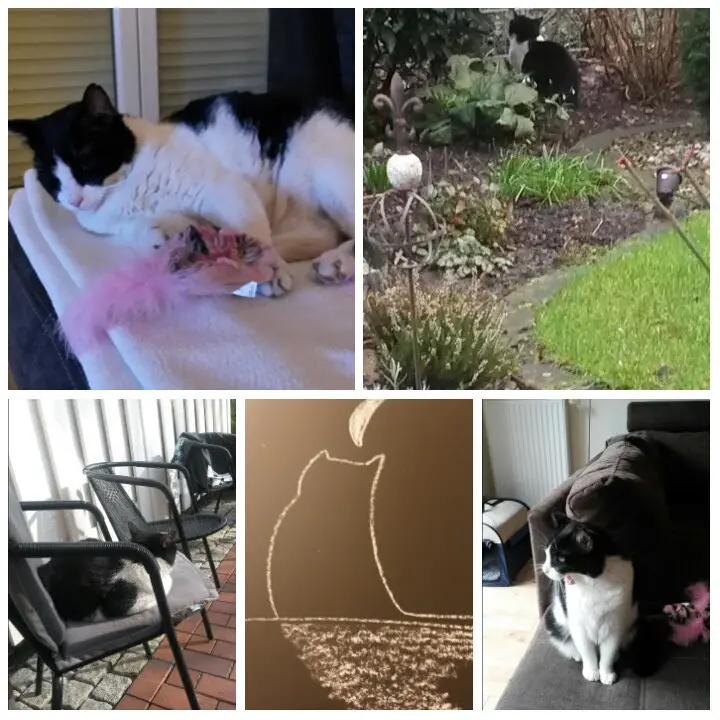 Andachtsbild von Monika