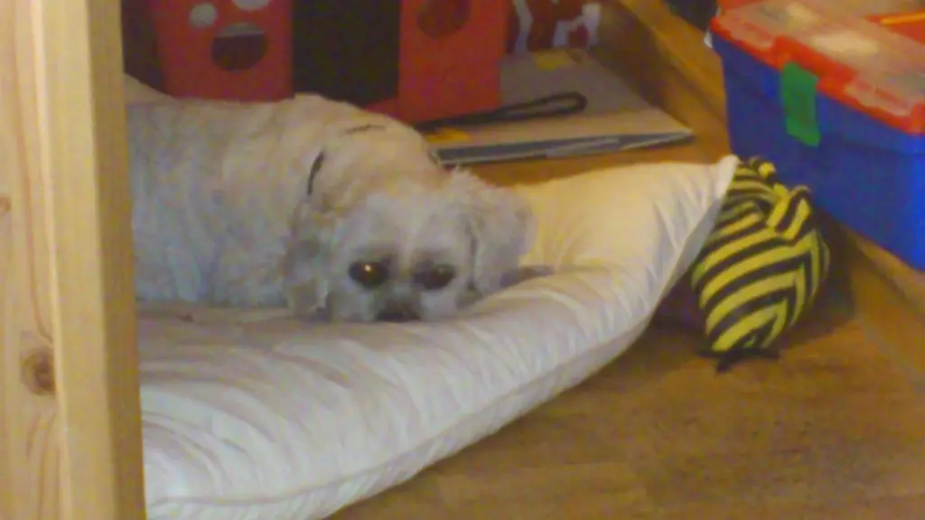 Andachtsbild von Andrea mit Noa im Herzen