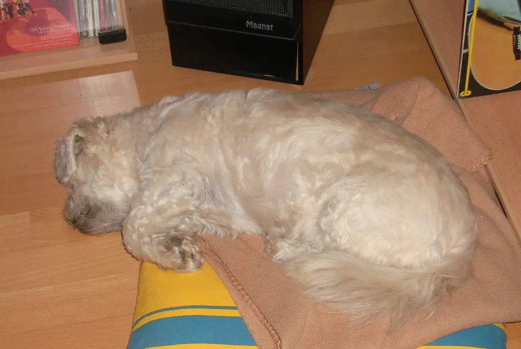 Andachtsbild von Andrea mit Noa im Herzen