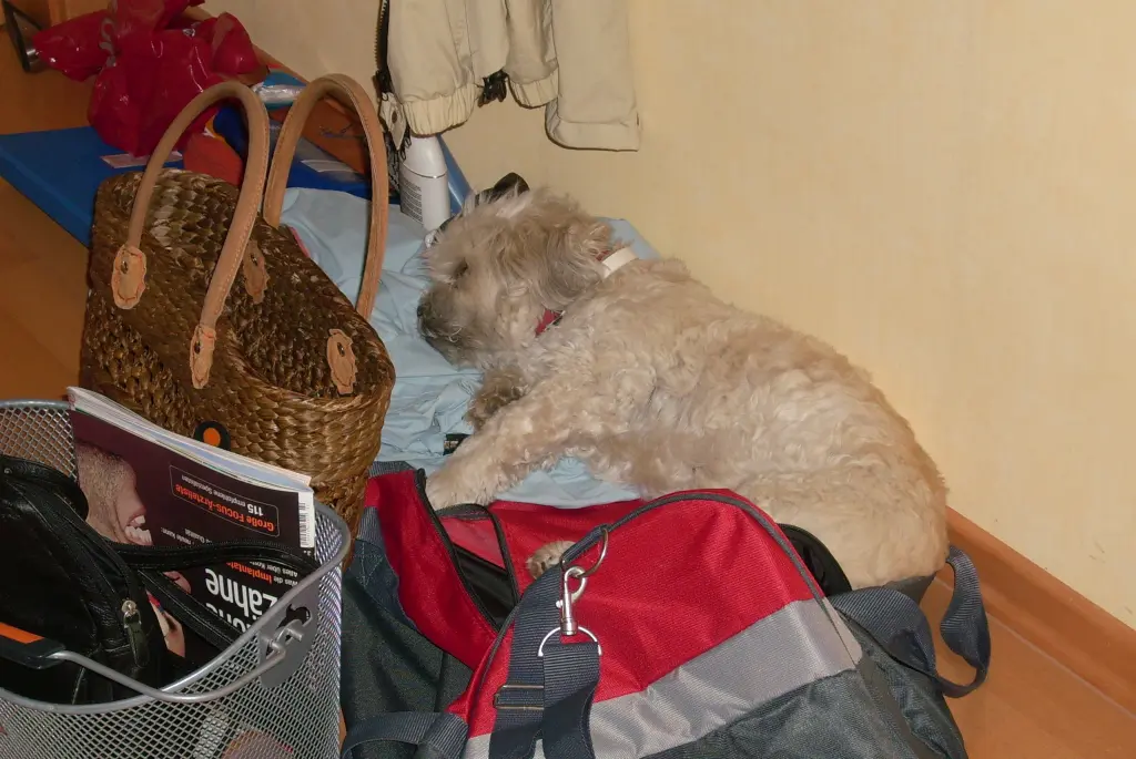 Andachtsbild von Andrea mit Noa im Herzen