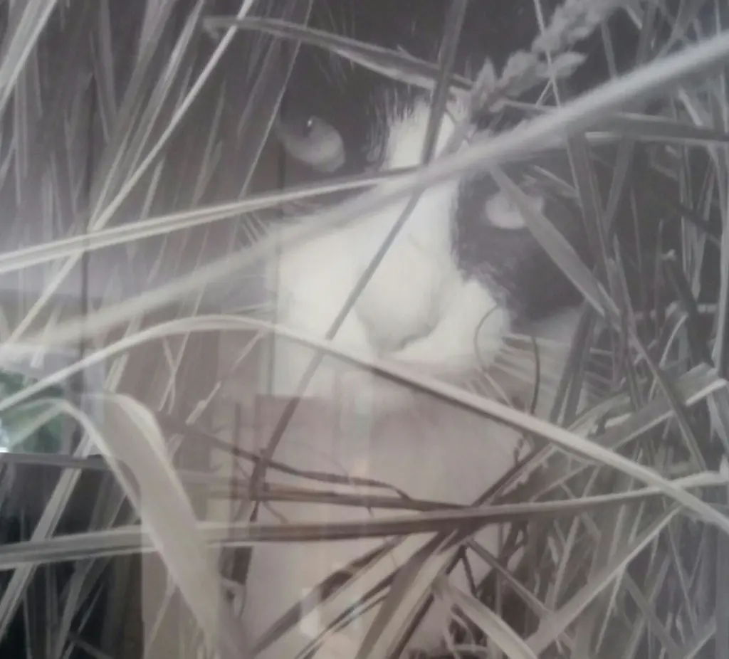 Andachtsbild von Monika mit DIR im Herzen 