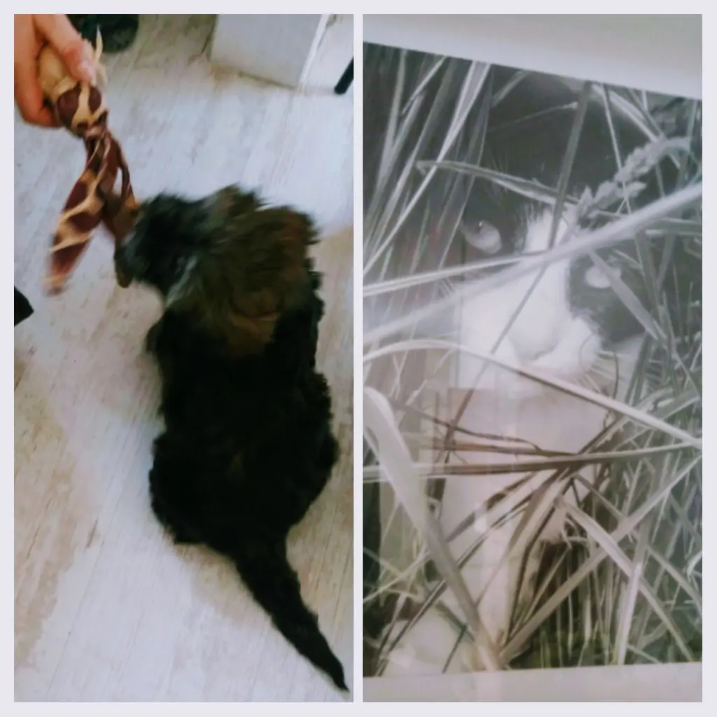 Andachtsbild von Monika mit DIR im Herzen 