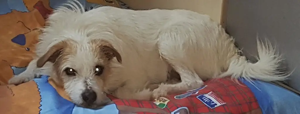 Andachtsbild von Andrea mit Noa im Herzen