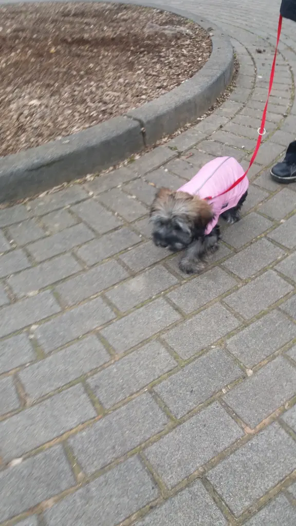 Andachtsbild von Monika und Ulrike mit Brady 