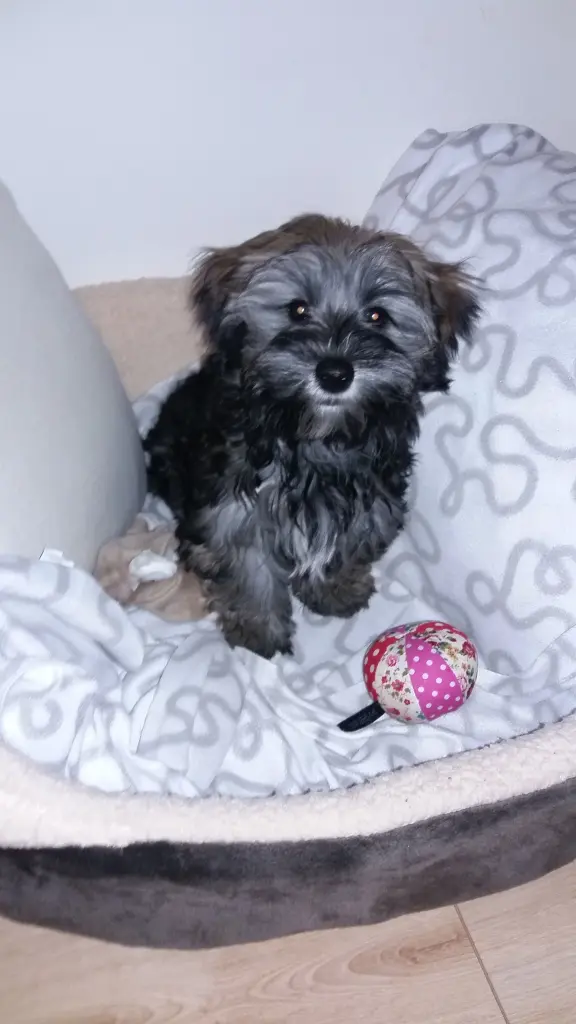 Andachtsbild von Monika mit DIR im Herzen 