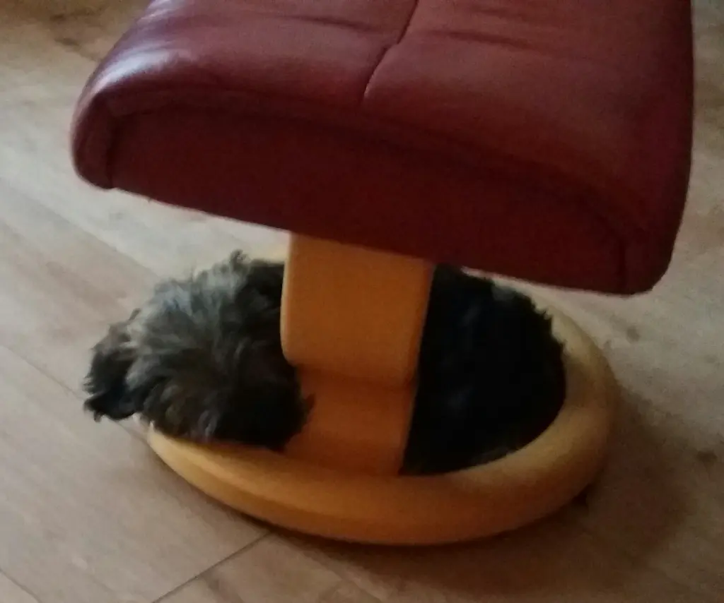 Andachtsbild von Monika und Ulrike mit Brady 