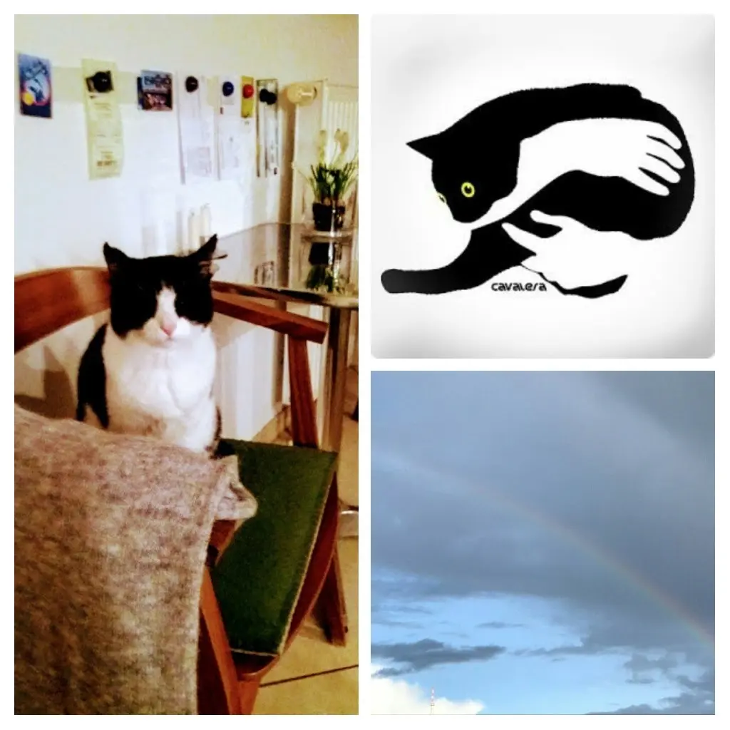 Andachtsbild von Monika mit dir im Herzen und Brady an der Leine