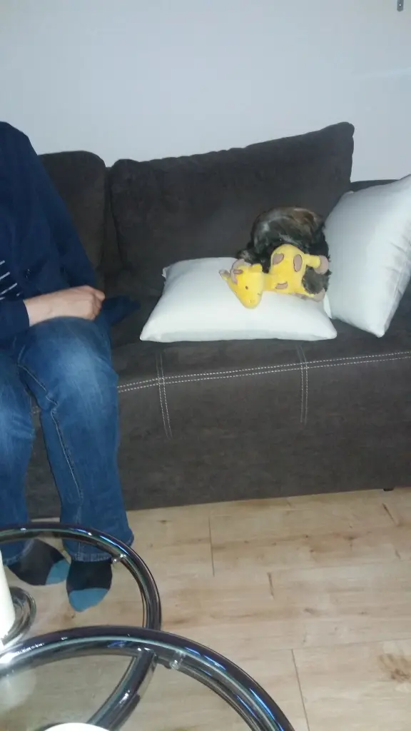 Andachtsbild von Monika mit DIR im Herzen 