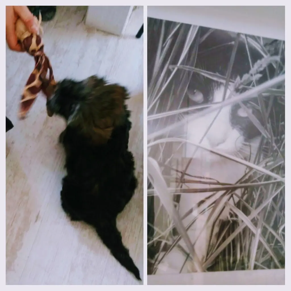 Andachtsbild von Monika und Ulrike mit Brady 