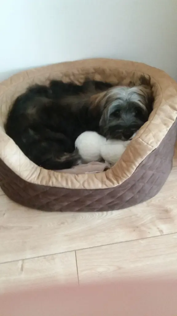 Andachtsbild von Monika mit DIR im Herzen 