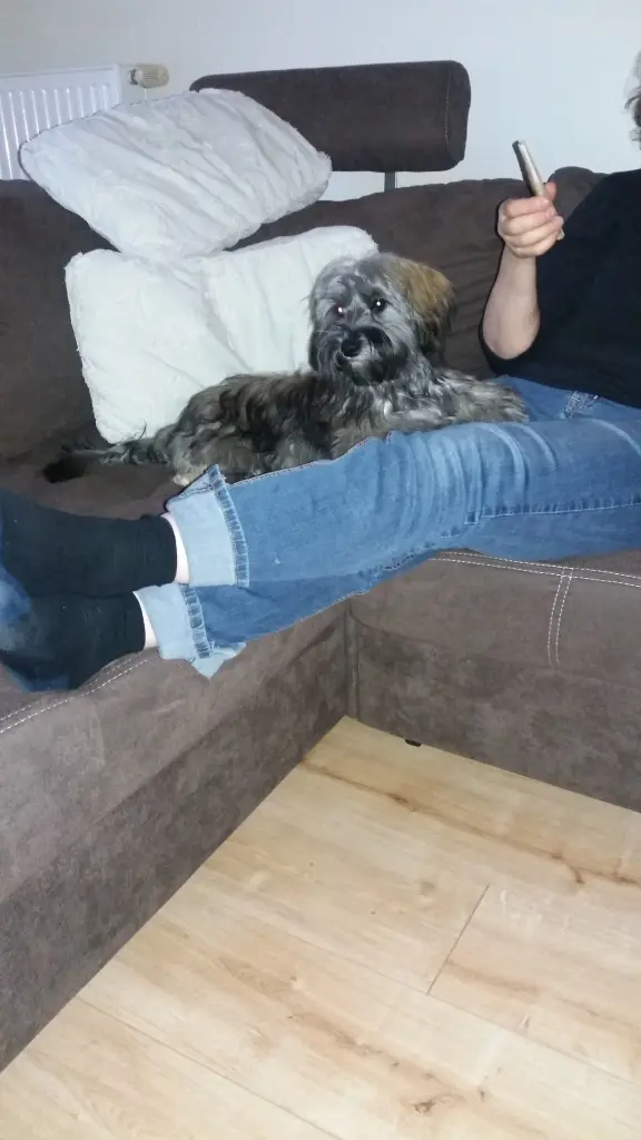 Andachtsbild von Monika mit Carlo im Herzen und Brady an der Leine 