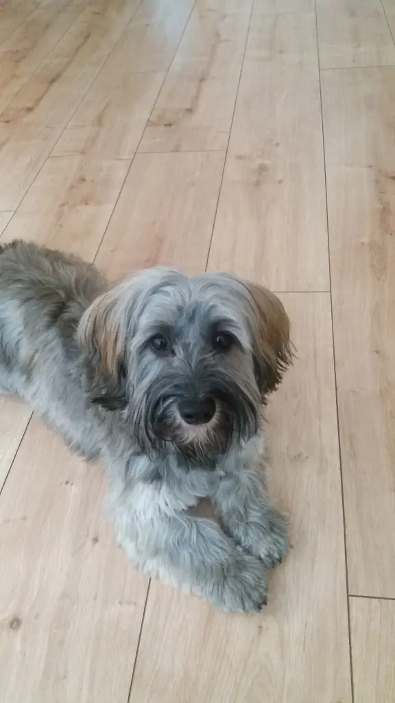 Andachtsbild von Deiner Moni in Liebe 