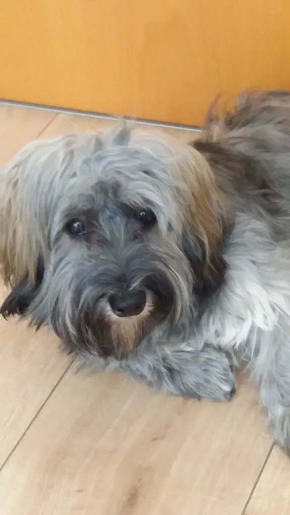 Andachtsbild von Deiner Moni in Liebe 