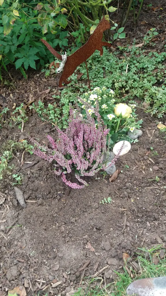 Andachtsbild von Deinen Beiden mit Brady 