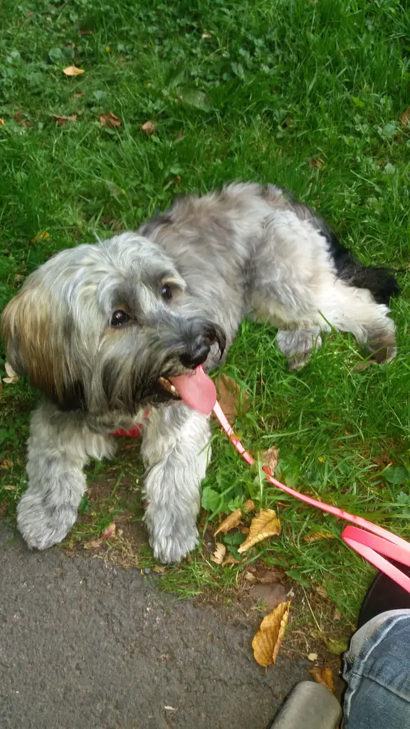 Andachtsbild von Deiner Moni in Liebe 