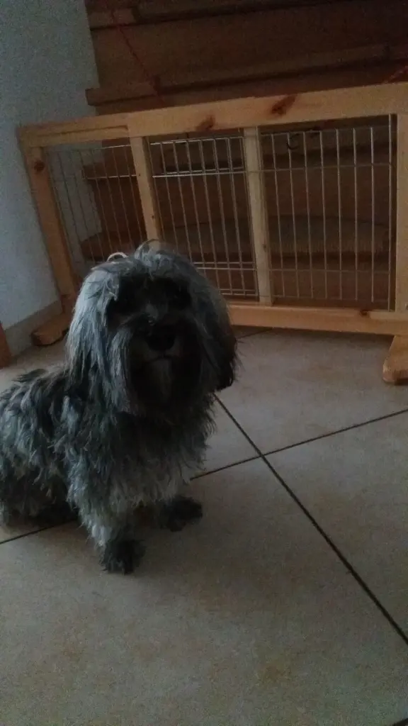 Andachtsbild von Monika mit Carlo und Brady