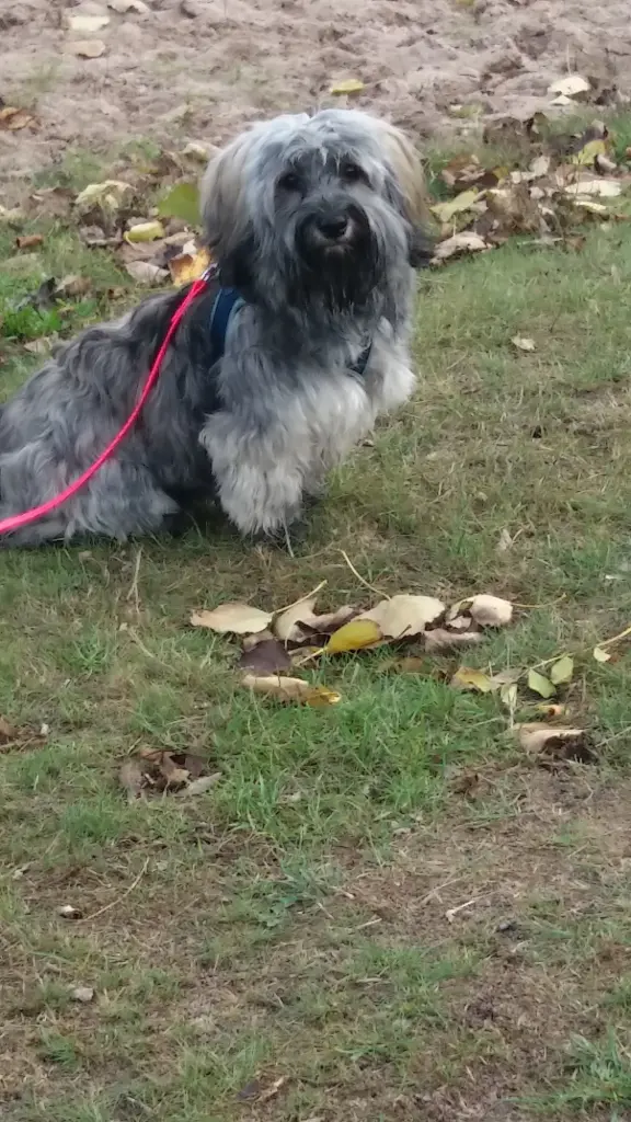 Andachtsbild von Deinen Beiden mit Brady 