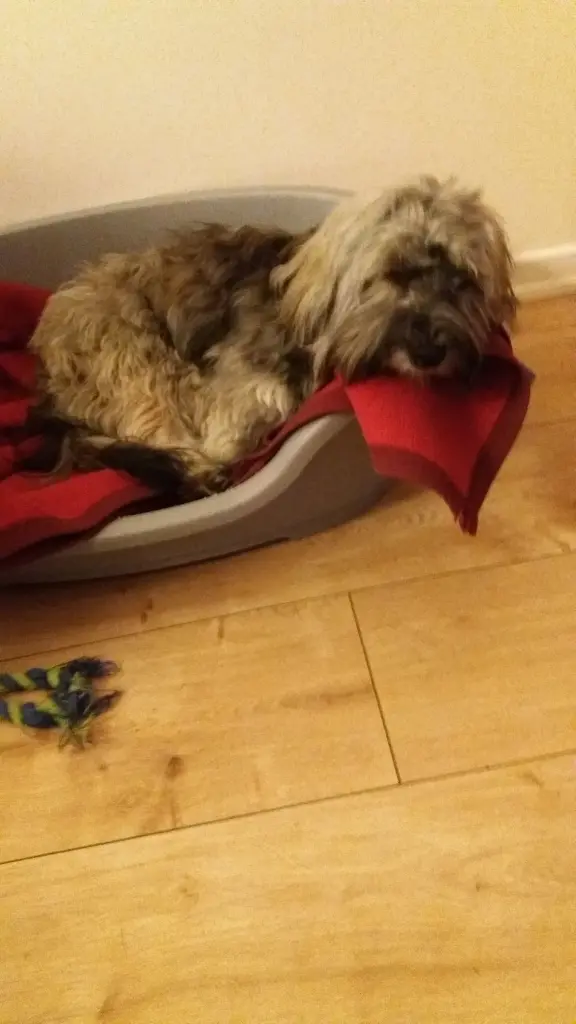 Andachtsbild von Deiner Moni in Liebe 