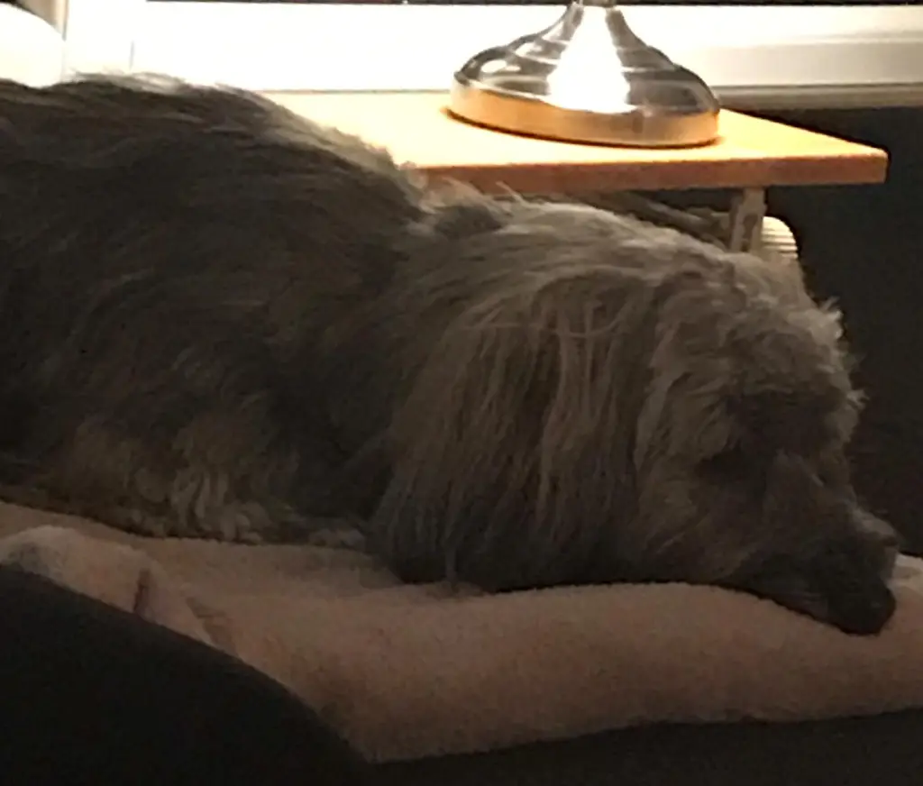 Andachtsbild von Deiner Moni und deiner Uli in Liebe 