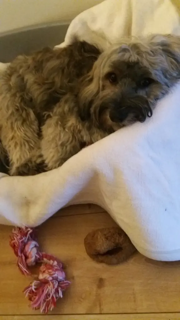 Andachtsbild von Deiner Moni und deiner Uli in Liebe