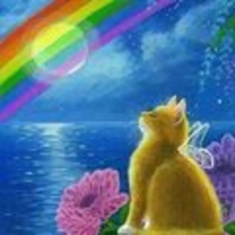 Andachtsbild von Evelyn