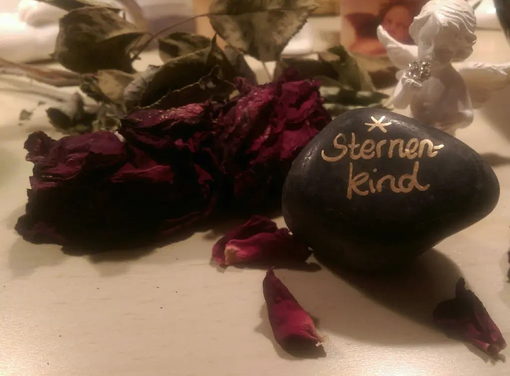 Condolence image of  Rosengarten Team Filiale Bremen  Britta Odenthal