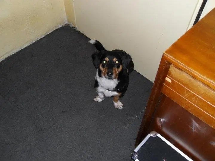 Condolence image of Unbekannt