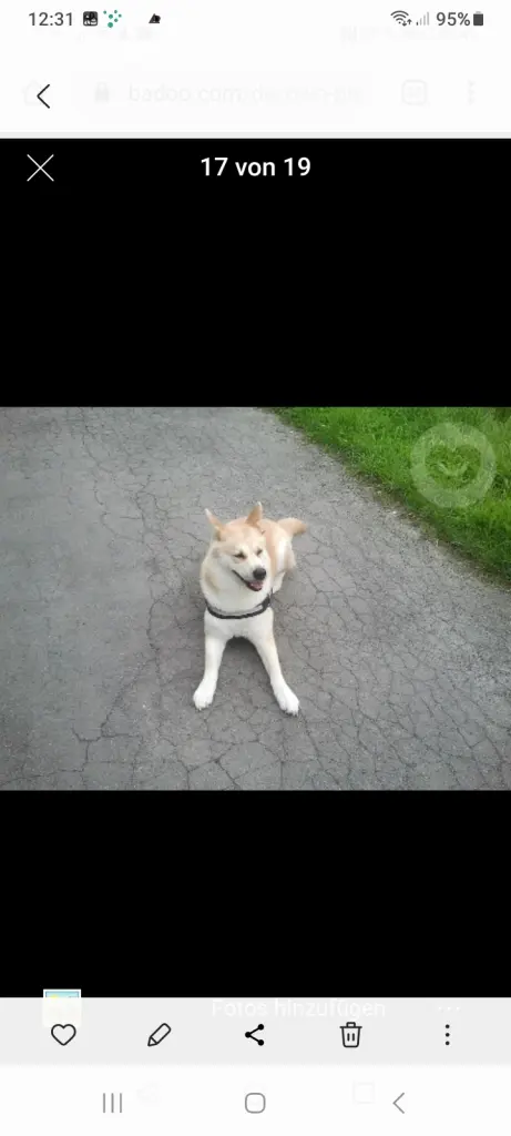 Condolence image of Tina mit Luna und Filou im Herzen 
